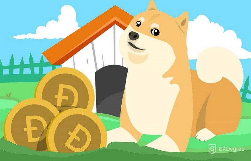 Learn How to Keep Track of Dogecoin Prices