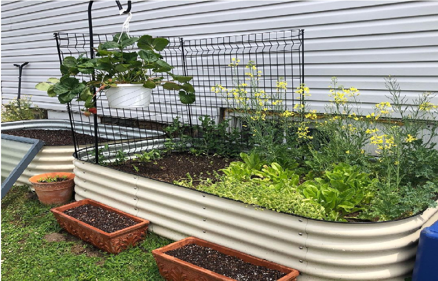 how to fill a raised garden bed