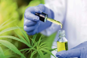 cbd products in India